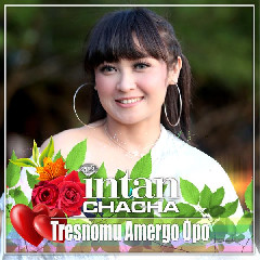 Intan Chacha - Tresnomu Amergo Opo